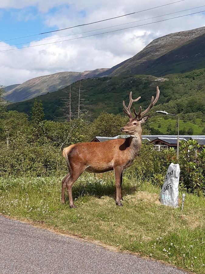 Etive Pod, West Highland Way Holidays Kinlochleven Eksteriør bilde